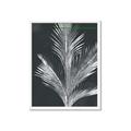 Picture of Pinneedles II _GroupedProduct_Rectangle_Portrait_Framed_Matted_