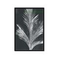 Picture of Pinneedles II _GroupedProduct_Rectangle_Portrait_Framed_Matted_