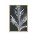 Picture of Pinneedles II _GroupedProduct_Rectangle_Portrait_Framed_Matted_