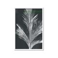 Picture of Pinneedles II _GroupedProduct_Rectangle_Portrait_Framed_Matted_