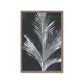 Picture of Pinneedles II _GroupedProduct_Rectangle_Portrait_Framed_Matted_