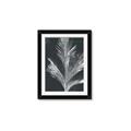 Picture of Pinneedles II _GroupedProduct_Rectangle_Portrait_Framed_Matted_