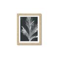Picture of Pinneedles II _GroupedProduct_Rectangle_Portrait_Framed_Matted_