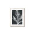 Picture of Pinneedles II _GroupedProduct_Rectangle_Portrait_Framed_Matted_