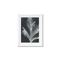 Picture of Pinneedles II _GroupedProduct_Rectangle_Portrait_Framed_Matted_