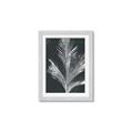 Picture of Pinneedles II _GroupedProduct_Rectangle_Portrait_Framed_Matted_