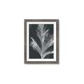 Picture of Pinneedles II _GroupedProduct_Rectangle_Portrait_Framed_Matted_