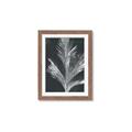 Picture of Pinneedles II _GroupedProduct_Rectangle_Portrait_Framed_Matted_