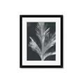 Picture of Pinneedles II _GroupedProduct_Rectangle_Portrait_Framed_Matted_