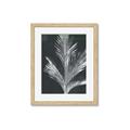 Picture of Pinneedles II _GroupedProduct_Rectangle_Portrait_Framed_Matted_