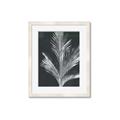 Picture of Pinneedles II _GroupedProduct_Rectangle_Portrait_Framed_Matted_