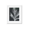 Picture of Pinneedles II _GroupedProduct_Rectangle_Portrait_Framed_Matted_