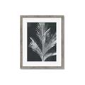Picture of Pinneedles II _GroupedProduct_Rectangle_Portrait_Framed_Matted_