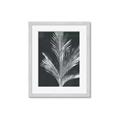 Picture of Pinneedles II _GroupedProduct_Rectangle_Portrait_Framed_Matted_