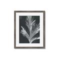 Picture of Pinneedles II _GroupedProduct_Rectangle_Portrait_Framed_Matted_