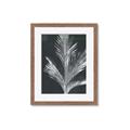 Picture of Pinneedles II _GroupedProduct_Rectangle_Portrait_Framed_Matted_