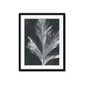 Picture of Pinneedles II _GroupedProduct_Rectangle_Portrait_Framed_Matted_