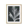 Picture of Pinneedles II _GroupedProduct_Rectangle_Portrait_Framed_Matted_