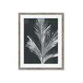 Picture of Pinneedles II _GroupedProduct_Rectangle_Portrait_Framed_Matted_