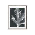 Picture of Pinneedles II _GroupedProduct_Rectangle_Portrait_Framed_Matted_