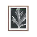 Picture of Pinneedles II _GroupedProduct_Rectangle_Portrait_Framed_Matted_