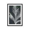 Picture of Pinneedles II _GroupedProduct_Rectangle_Portrait_Framed_Matted_