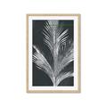 Picture of Pinneedles II _GroupedProduct_Rectangle_Portrait_Framed_Matted_