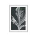 Picture of Pinneedles II _GroupedProduct_Rectangle_Portrait_Framed_Matted_