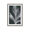 Picture of Pinneedles II _GroupedProduct_Rectangle_Portrait_Framed_Matted_