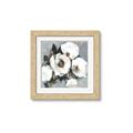 Picture of Full Bloom II _GroupedProduct_Square_Framed_Matted_