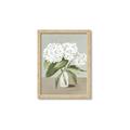 Picture of White Hydranga _GroupedProduct_Rectangle_Portrait_Framed_Matted_