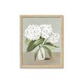 Picture of White Hydranga _GroupedProduct_Rectangle_Portrait_Framed_Matted_