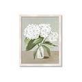 Picture of White Hydranga _GroupedProduct_Rectangle_Portrait_Framed_Matted_