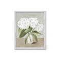Picture of White Hydranga _GroupedProduct_Rectangle_Portrait_Framed_Matted_
