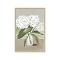 Picture of White Hydranga _GroupedProduct_Rectangle_Portrait_Framed_Matted_