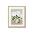 Picture of White Hydranga _GroupedProduct_Rectangle_Portrait_Framed_Matted_