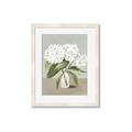 Picture of White Hydranga _GroupedProduct_Rectangle_Portrait_Framed_Matted_