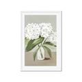 Picture of White Hydranga _GroupedProduct_Rectangle_Portrait_Framed_Matted_