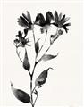 Picture of Black flower II (Ink border black ) _GroupedProduct_Rectangle_Portrait_Unframed_Print_Only_