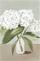 Picture of White Hydranga _GroupedProduct_Rectangle_Portrait_Unframed_Print_Only_
