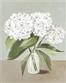 Picture of White Hydranga _GroupedProduct_Rectangle_Portrait_Unframed_Print_Only_