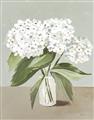 Picture of White Hydranga _GroupedProduct_Rectangle_Portrait_Unframed_Print_Only_