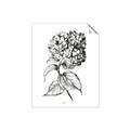 Picture of Flowers and leaves II _GroupedProduct_Rectangle_Portrait_Unframed_Print_Only_