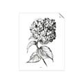 Picture of Flowers and leaves II _GroupedProduct_Rectangle_Portrait_Unframed_Print_Only_