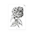 Picture of Flowers and leaves II _GroupedProduct_Rectangle_Portrait_Unframed_Print_Only_