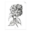 Picture of Flowers and leaves II _GroupedProduct_Rectangle_Portrait_Unframed_Print_Only_