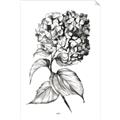 Picture of Flowers and leaves II _GroupedProduct_Rectangle_Portrait_Unframed_Print_Only_