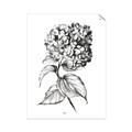 Picture of Flowers and leaves II _GroupedProduct_Rectangle_Portrait_Unframed_Print_Only_