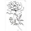 Picture of Flowers and leaves (Foil) _GroupedProduct_Rectangle_Portrait_Unframed_Print_Only_