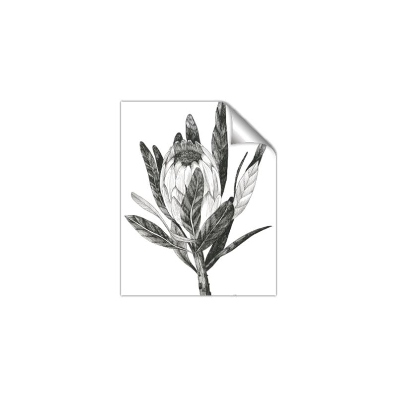 Picture of Spring Magnolia Blossoms _GroupedProduct_Rectangle_Portrait_Unframed_Print_Only_